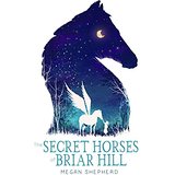 The Secret Horses of Briar Hill